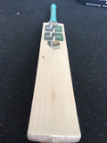 SS Professional Edition Cricket Bat (2022)